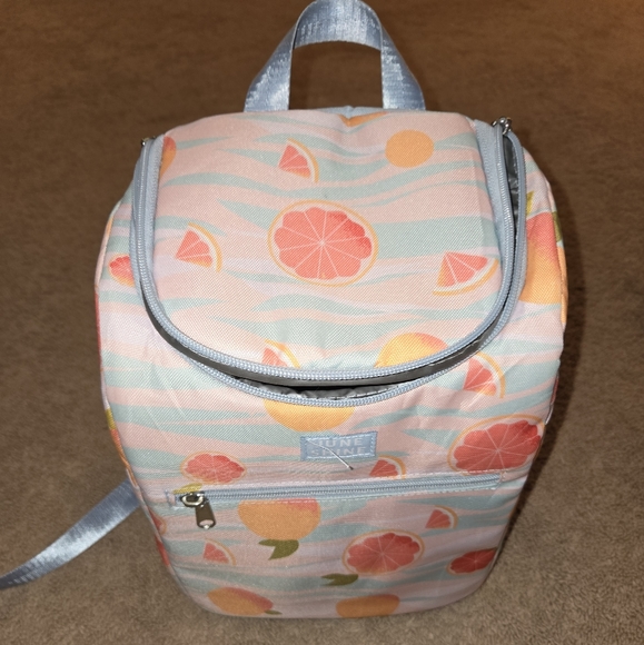 June Shine Bags Euc June Shine Cooler Backpack Poshmark